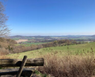 Zittauer Gebirgslauf