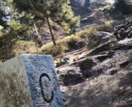 Zittauer Gebirgslauf