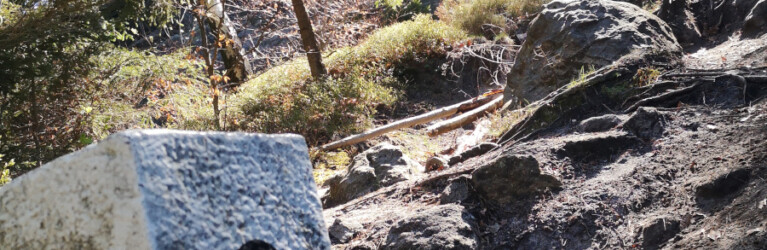 Zittauer Gebirgslauf