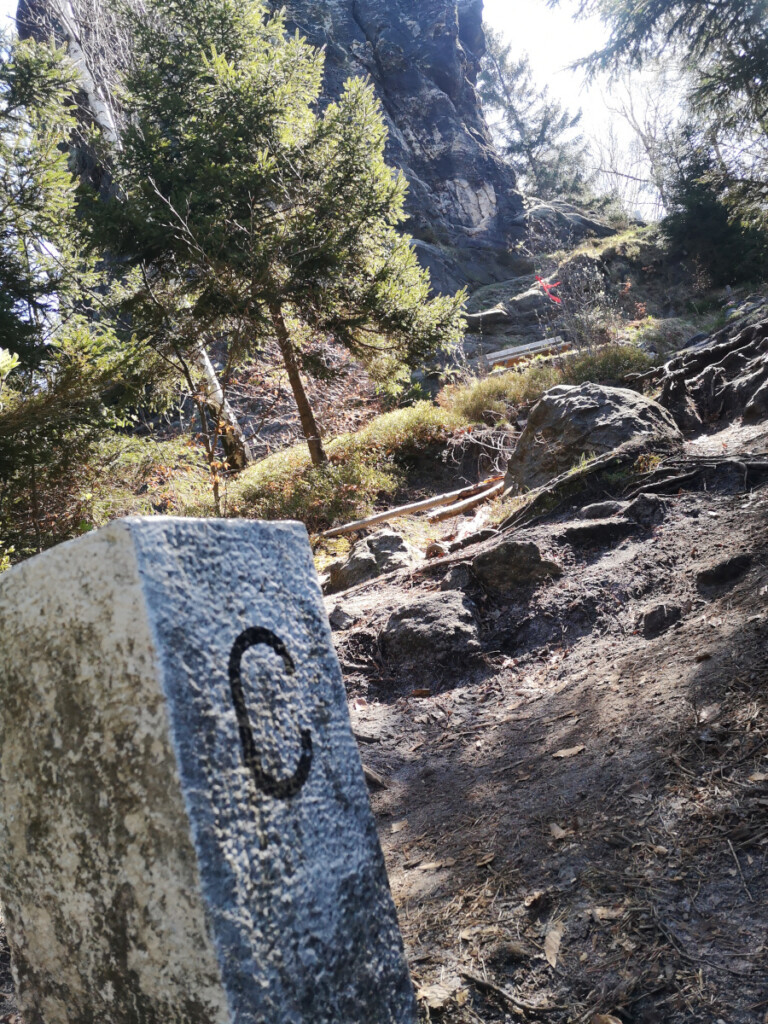 Zittauer Gebirgslauf