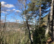 Zittauer Gebirgslauf