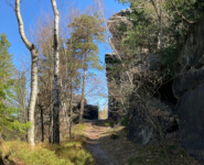 Zittauer Gebirgslauf