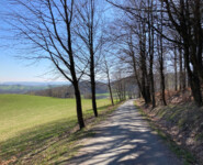 Zittauer Gebirgslauf