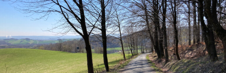 Zittauer Gebirgslauf