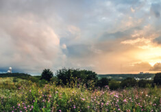 Trailguide Germany: Laufen in und um Berlin