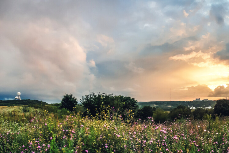 Trailguide Germany: Laufen in und um Berlin