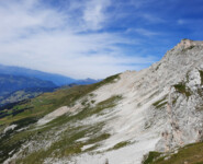 Eindrücke vom Madrisa Trail