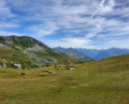 Eindrücke vom Madrisa Trail