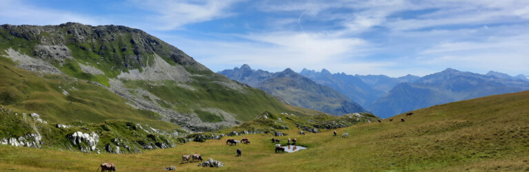 Eindrücke vom Madrisa Trail