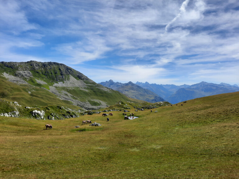 Eindrücke vom Madrisa Trail
