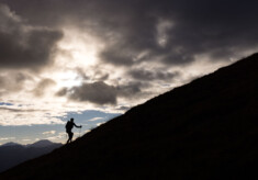 adidas Infinite Trails 2022