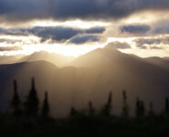 adidas Infinite Trails 2022