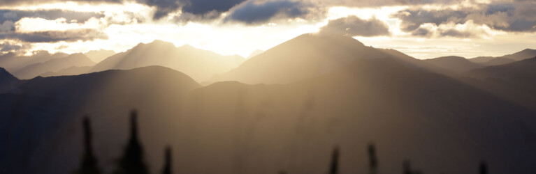 adidas Infinite Trails 2022