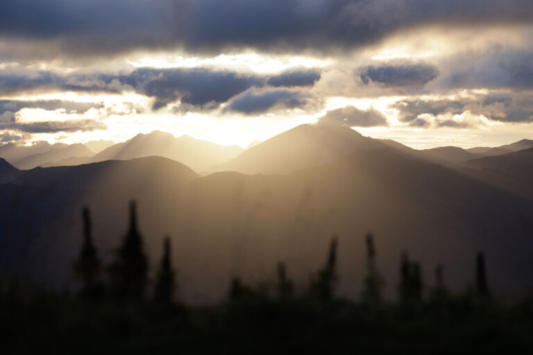 adidas Infinite Trails 2022