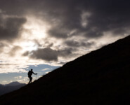 adidas Infinite Trails 2022