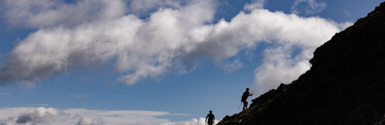 adidas Infinite Trails 2022