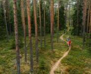 Nuuksio70 Trail Ultra 2022 - ein Traum voll technischer Singletrails