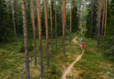 Nuuksio70 Trail Ultra 2022 - ein Traum voll technischer Singletrails