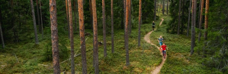 Nuuksio70 Trail Ultra 2022 - ein Traum voll technischer Singletrails