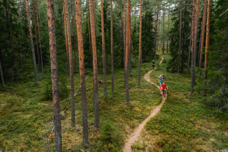 Nuuksio70 Trail Ultra 2022 - ein Traum voll technischer Singletrails