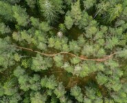 Nuuksio70 Trail Ultra 2022 - ein Traum voll technischer Singletrails