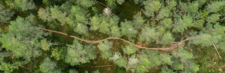 Nuuksio70 Trail Ultra 2022 - ein Traum voll technischer Singletrails