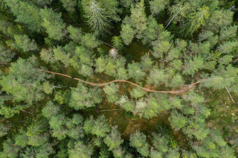 Nuuksio70 Trail Ultra 2022 - ein Traum voll technischer Singletrails