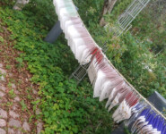 Alles etwas anders als gewohnt beim Nuuksio70 Trail Ultra