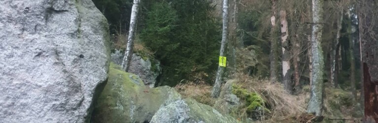 Mystik im Zittauer Gebirge: der O-SEE Ultra Trai 2022