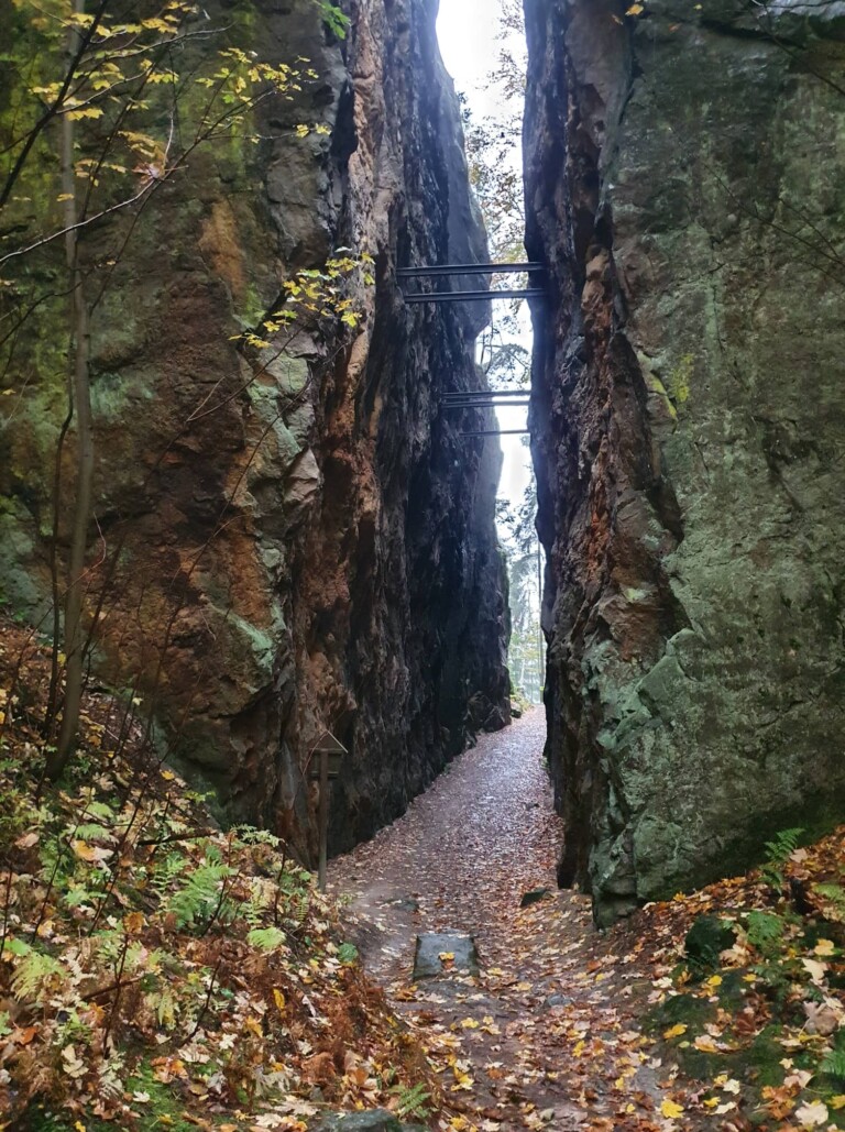 Mystik im Zittauer Gebirge: der O-SEE Ultra Trai 2022