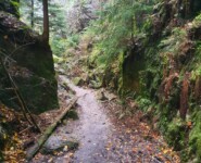 Mystik im Zittauer Gebirge: der O-SEE Ultra Trai 2022