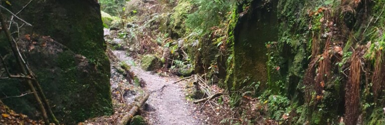 Mystik im Zittauer Gebirge: der O-SEE Ultra Trai 2022