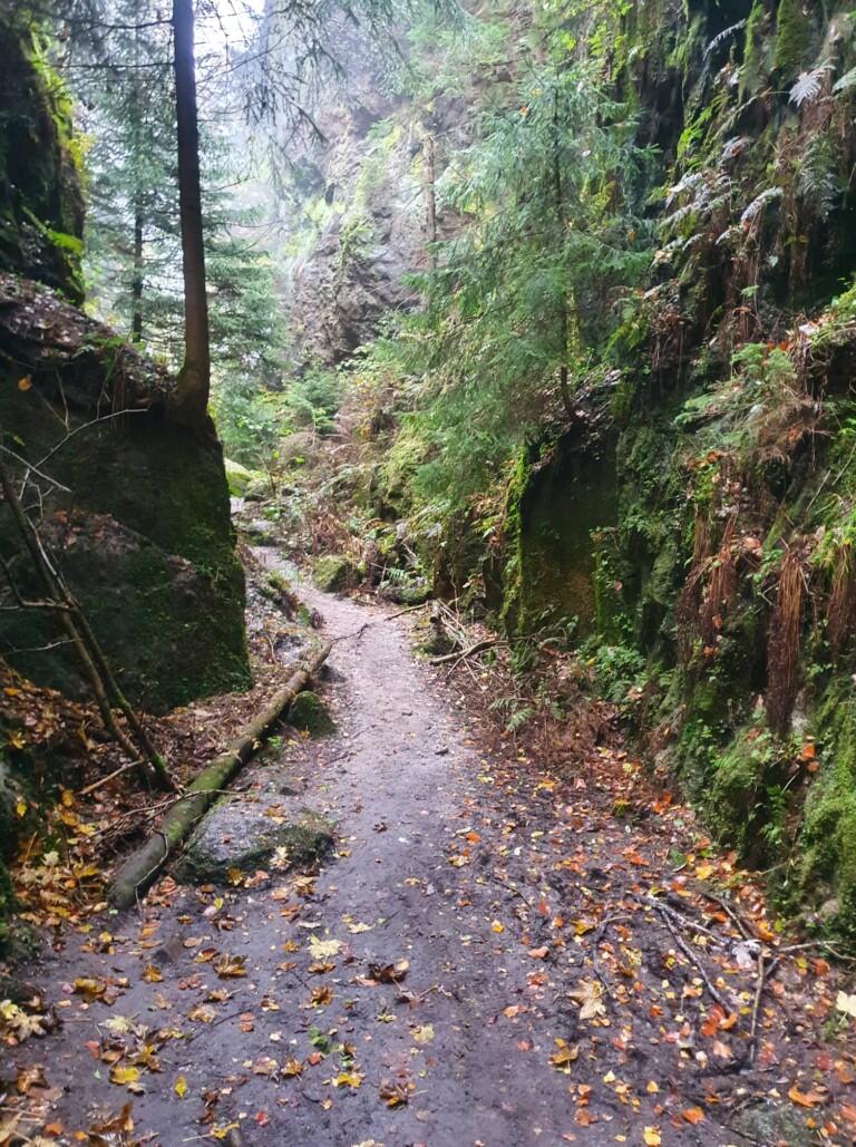 Mystik im Zittauer Gebirge: der O-SEE Ultra Trai 2022