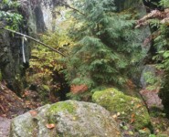 Mystik im Zittauer Gebirge: der O-SEE Ultra Trai 2022