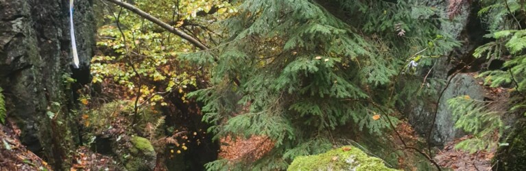 Mystik im Zittauer Gebirge: der O-SEE Ultra Trai 2022