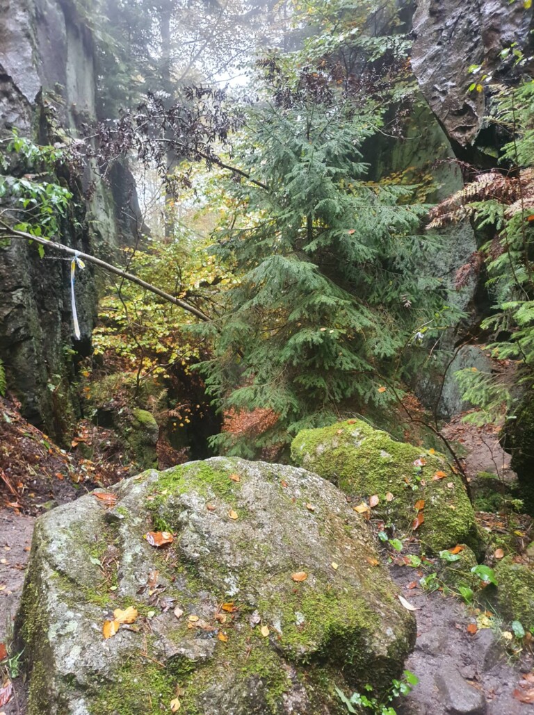 Mystik im Zittauer Gebirge: der O-SEE Ultra Trai 2022