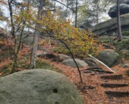 Mystik im Zittauer Gebirge: der O-SEE Ultra Trai 2022