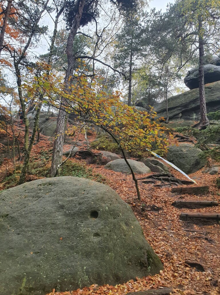 Mystik im Zittauer Gebirge: der O-SEE Ultra Trai 2022