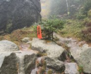 Mystik im Zittauer Gebirge: der O-SEE Ultra Trai 2022