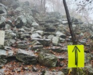 Mystik im Zittauer Gebirge: der O-SEE Ultra Trai 2022