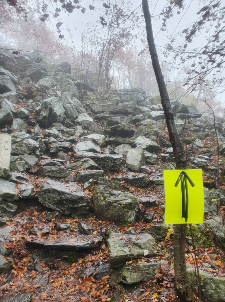 Mystik im Zittauer Gebirge: der O-SEE Ultra Trai 2022