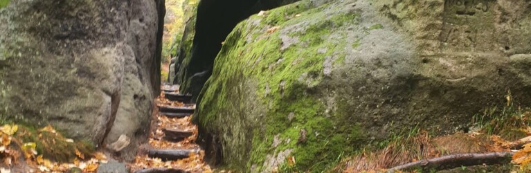 Mystik im Zittauer Gebirge: der O-SEE Ultra Trai 2022