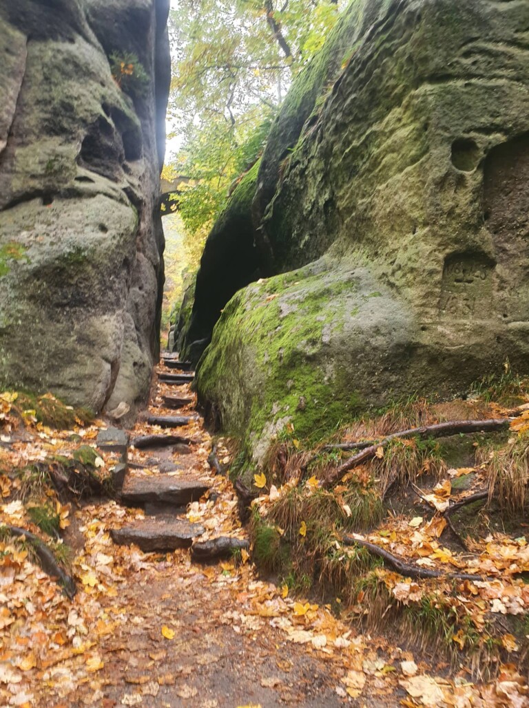 Mystik im Zittauer Gebirge: der O-SEE Ultra Trai 2022
