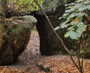 Mystik im Zittauer Gebirge: der O-SEE Ultra Trai 2022