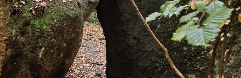 Mystik im Zittauer Gebirge: der O-SEE Ultra Trai 2022