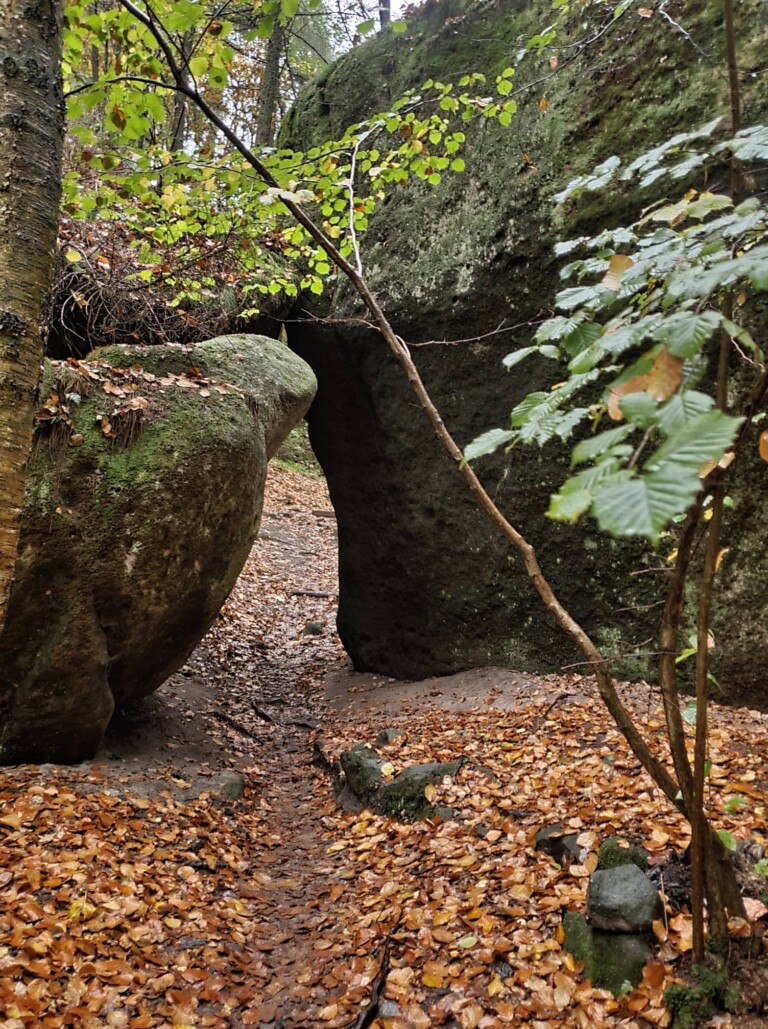 Mystik im Zittauer Gebirge: der O-SEE Ultra Trai 2022