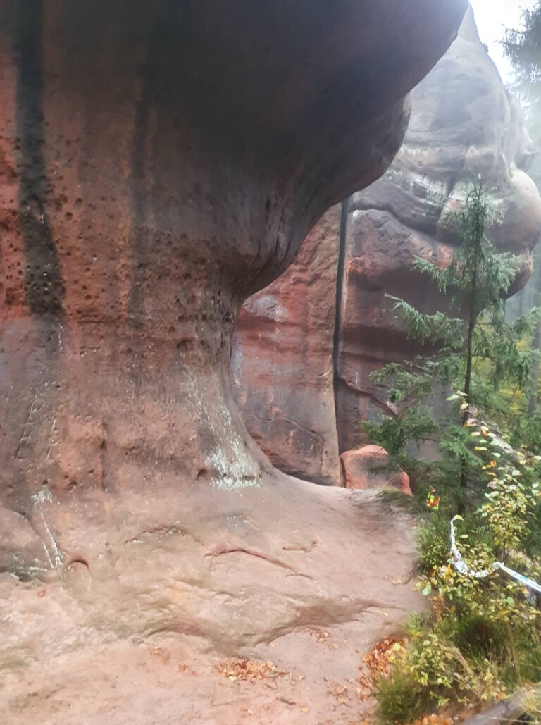 Mystik im Zittauer Gebirge: der O-SEE Ultra Trai 2022