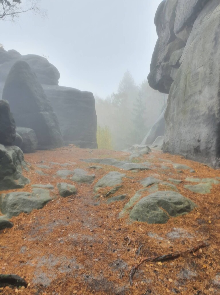 Mystik im Zittauer Gebirge: der O-SEE Ultra Trai 2022