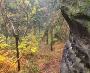 Mystik im Zittauer Gebirge: der O-SEE Ultra Trai 2022