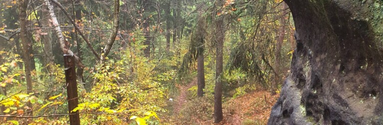 Mystik im Zittauer Gebirge: der O-SEE Ultra Trai 2022